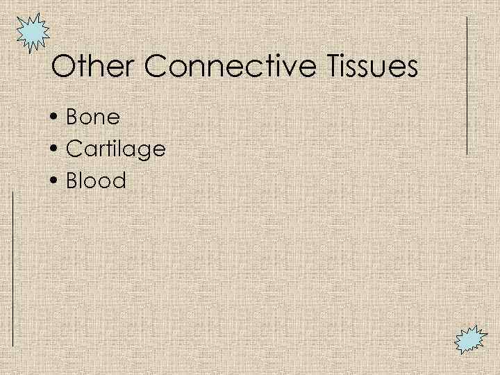 Other Connective Tissues • Bone • Cartilage • Blood 