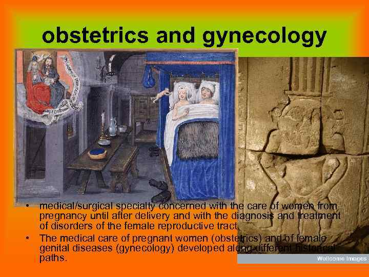 obstetrics and gynecology • medical/surgical specialty concerned with the care of women from pregnancy