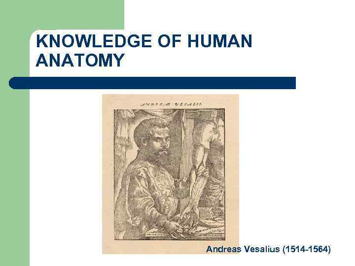 KNOWLEDGE OF HUMAN ANATOMY Andreas Vesalius (1514 -1564) 
