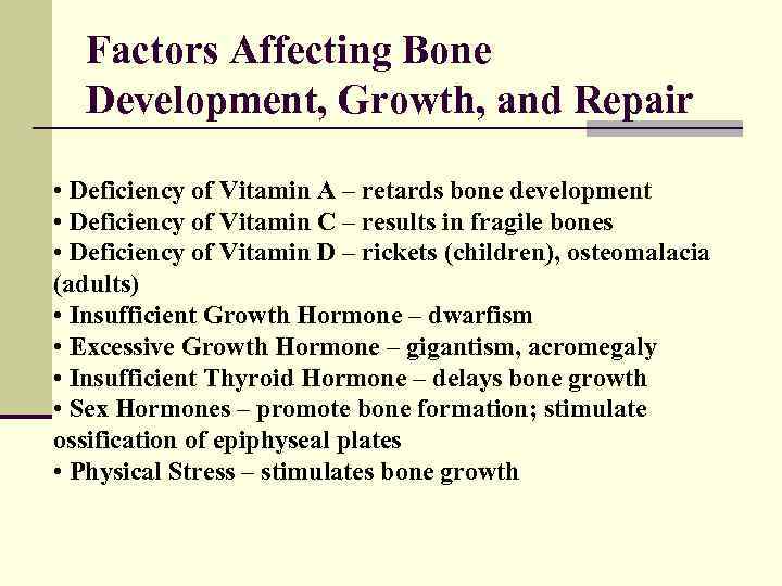 Factors Affecting Bone Development, Growth, and Repair • Deficiency of Vitamin A – retards