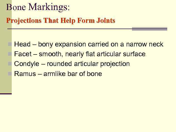 Bone Markings: Projections That Help Form Joints n Head – bony expansion carried on