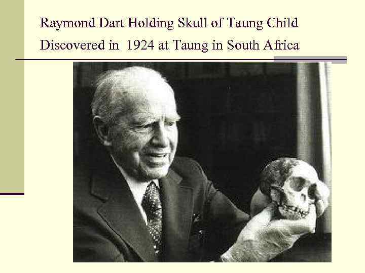 Raymond Dart Holding Skull of Taung Child Discovered in 1924 at Taung in South