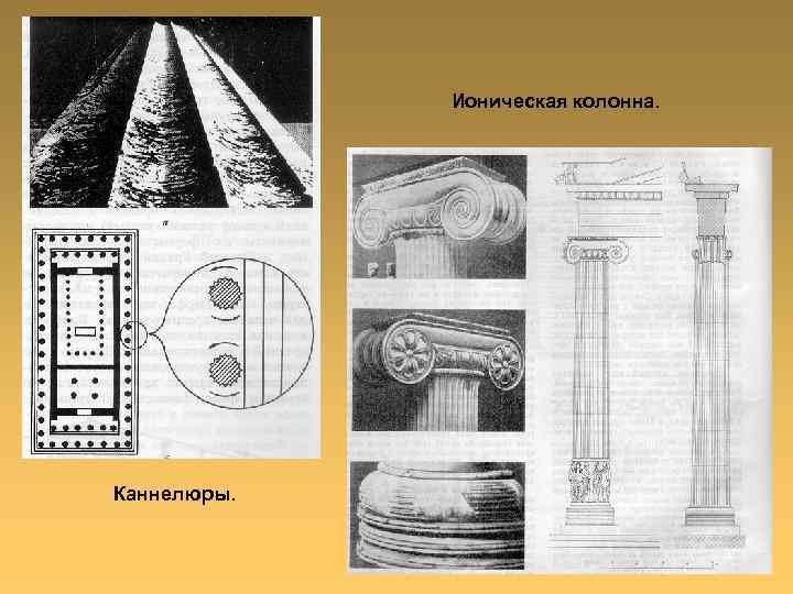 Ионическая колонна. Каннелюры. 
