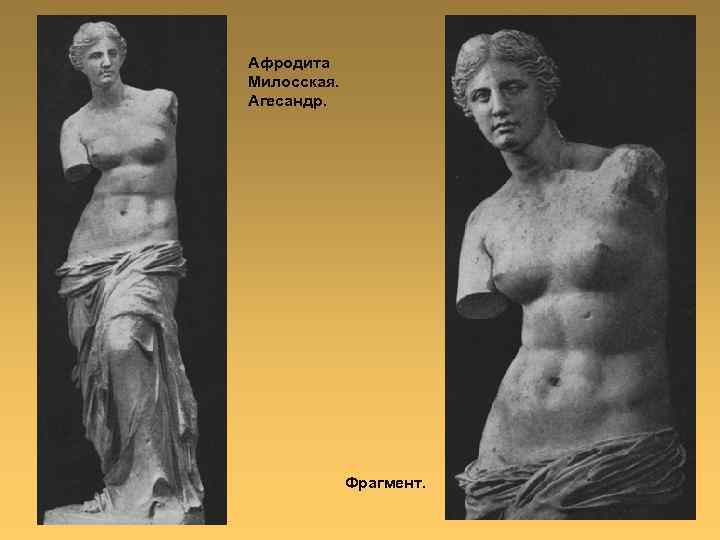 Афродита Милосская. Агесандр. Фрагмент. 