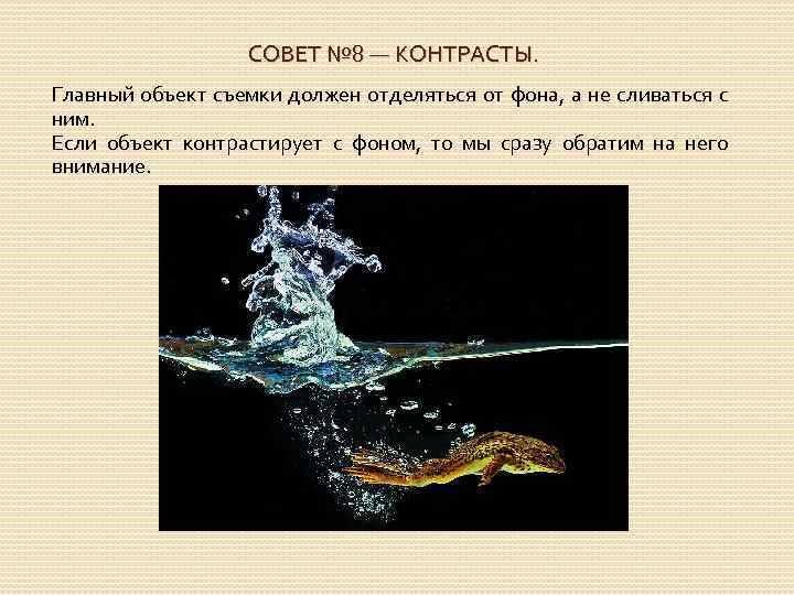 СОВЕТ № 8 — КОНТРАСТЫ. Главный объект съемки должен отделяться от фона, а не