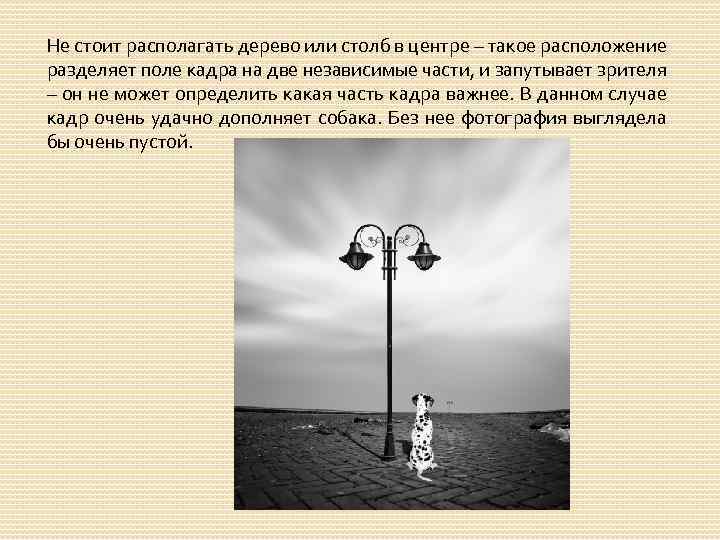 Не стоит располагать дерево или столб в центре – такое расположение разделяет поле кадра