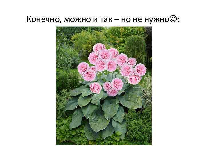 Конечно, можно и так – но не нужно : 