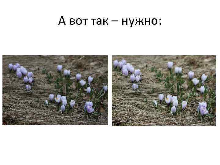 А вот так – нужно: 