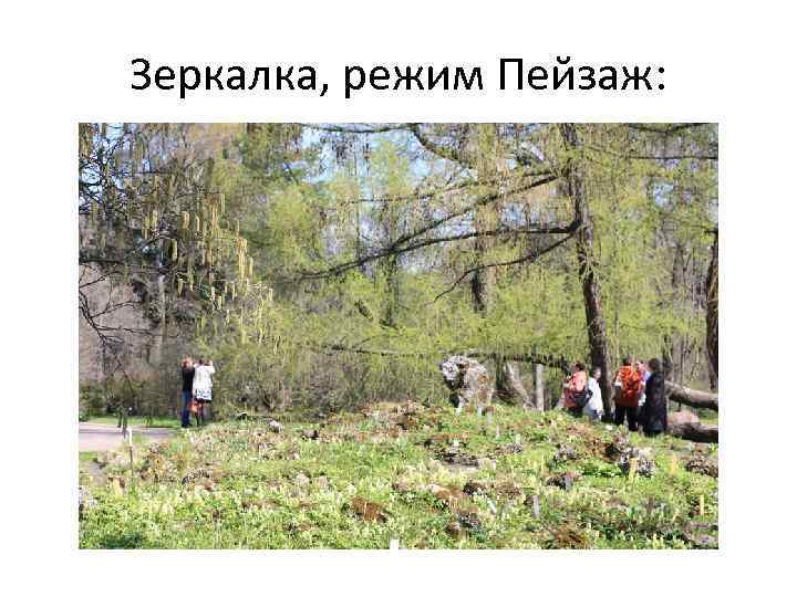 Зеркалка, режим Пейзаж: 