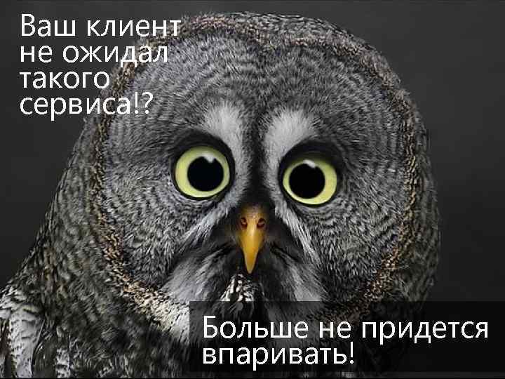 Ваш клиент не ожидал такого сервиса!? Больше не придется впаривать! 