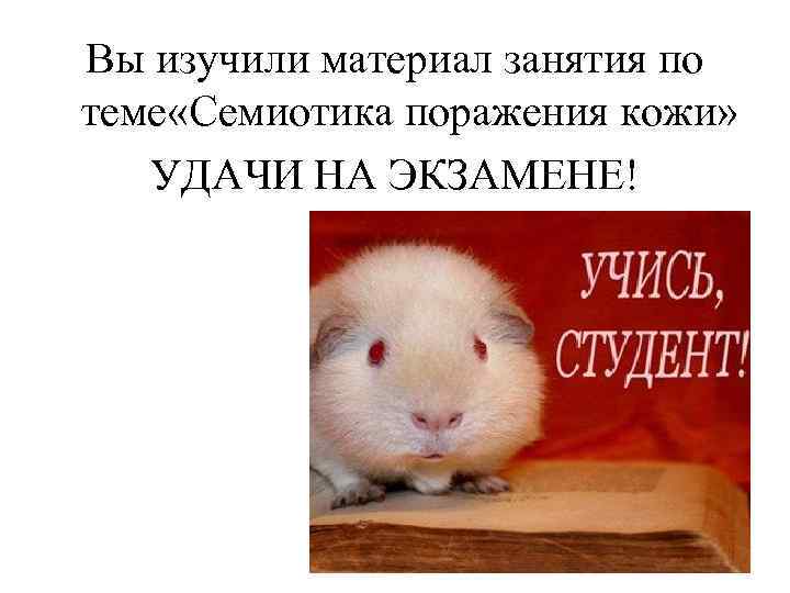 Вы изучили материал занятия по теме «Семиотика поражения кожи» УДАЧИ НА ЭКЗАМЕНЕ! 