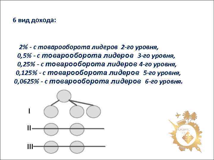 6 вид дохода: 2% - с товарооборота лидеров 2 -го уровня, 0, 5% -