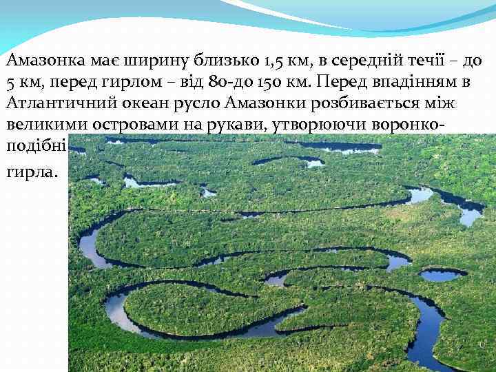 Амазонка має ширину близько 1, 5 км, в середній течії – до 5 км,