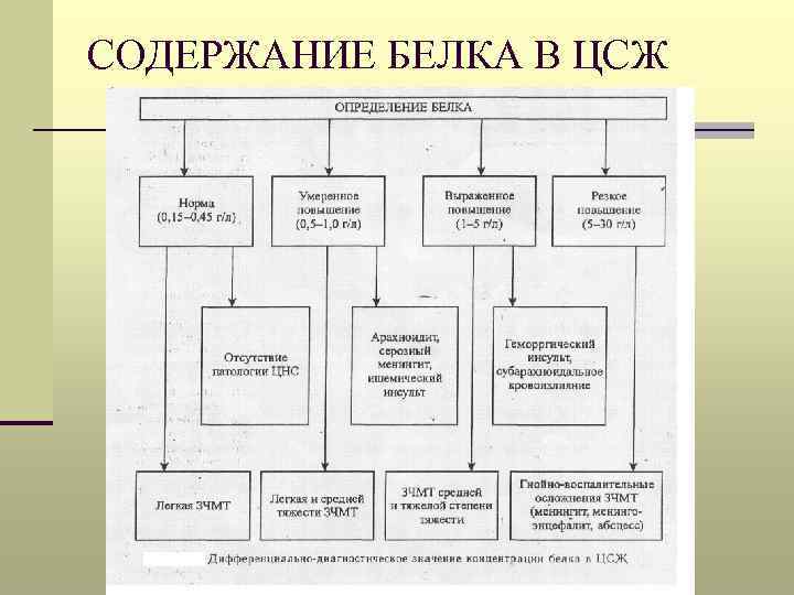 СОДЕРЖАНИЕ БЕЛКА В ЦСЖ 