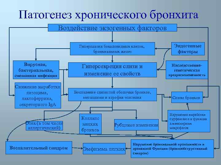 Патогенез хронического бронхита Воздействие экзогенных факторов Гиперплазия бокаловидных клеток, бронхиальных желез Вирусная, бактериальная, смешанная