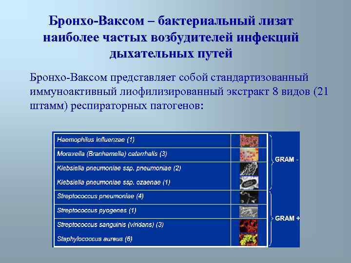 Бронхо-Ваксом – бактериальный лизат наиболее частых возбудителей инфекций дыхательных путей Бронхо-Ваксом представляет собой стандартизованный