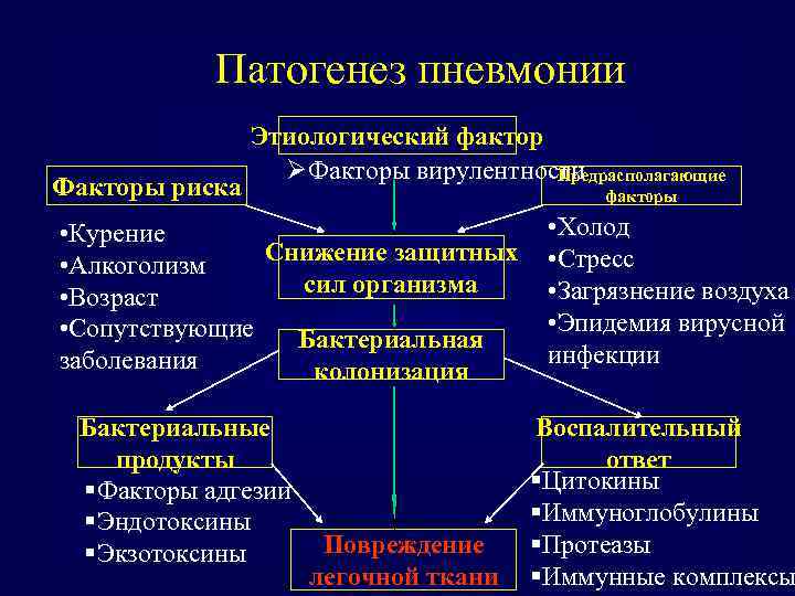 Патогенез пневмонии Факторы риска Этиологический фактор ØФакторы вирулентности Предрасполагающие факторы • Курение Снижение защитных