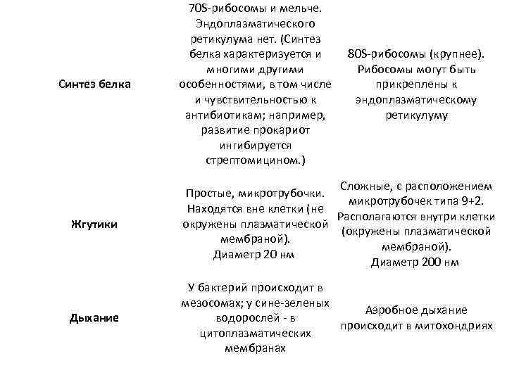 Синтез белка 70 S-рибосомы и мельче. Эндоплазматического ретикулума нет. (Синтез белка характеризуется и многими