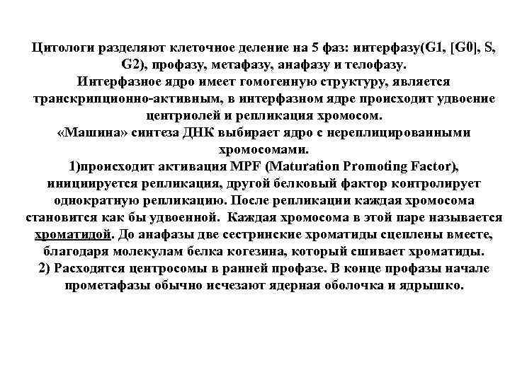 Цитологи разделяют клеточное деление на 5 фаз: интерфазу(G 1, [G 0], S, G 2),