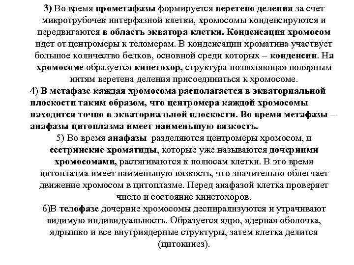 3) Во время прометафазы формируется веретено деления за счет микротрубочек интерфазной клетки, хромосомы конденсируются
