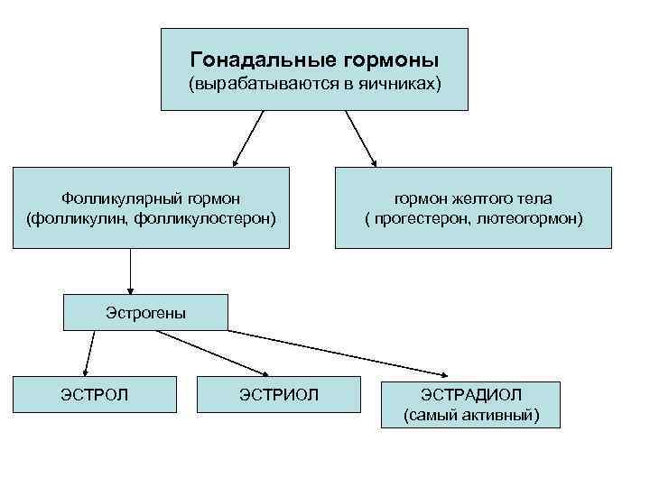 Гормоны животных