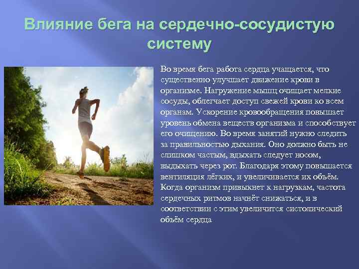 Влияние бега на сердечно-сосудистую систему Во время бега работа сердца учащается, что существенно улучшает