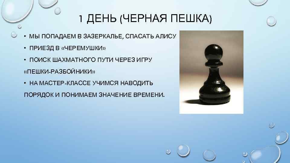 1 ДЕНЬ (ЧЕРНАЯ ПЕШКА) • МЫ ПОПАДАЕМ В ЗАЗЕРКАЛЬЕ, СПАСАТЬ АЛИСУ • ПРИЕЗД В