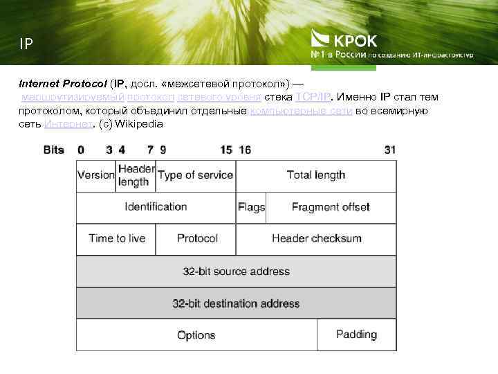 IP Internet Protocol (IP, досл. «межсетевой протокол» ) — маршрутизируемый протокол сетевого уровня стека