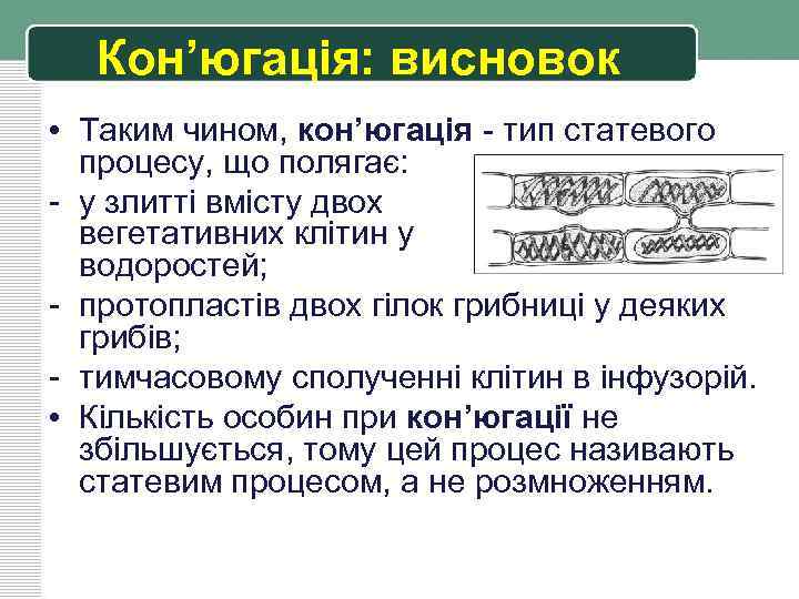 Кон’югація: висновок • Таким чином, кон’югація - тип статевого процесу, що полягає: - у