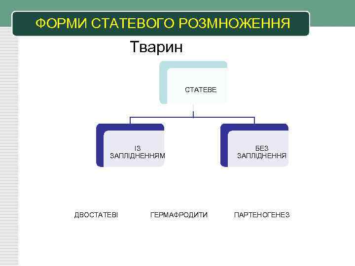 ФОРМИ СТАТЕВОГО РОЗМНОЖЕННЯ Тварин СТАТЕВЕ ІЗ ЗАПЛІДНЕННЯМ ДВОСТАТЕВІ ГЕРМАФРОДИТИ БЕЗ ЗАПЛІДНЕННЯ ПАРТЕНОГЕНЕЗ 