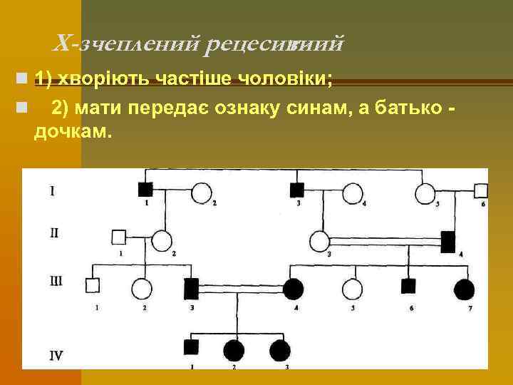 Х-зчеплений рецесивний тип: n 1) хворіють частіше чоловіки; n 2) мати передає ознаку синам,