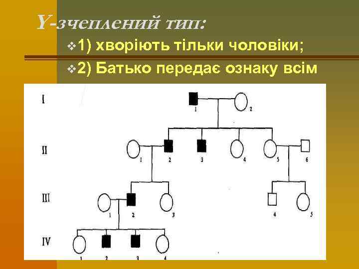 Y-зчеплений тип: v 1) хворіють тільки чоловіки; v 2) Батько передає ознаку всім синам.