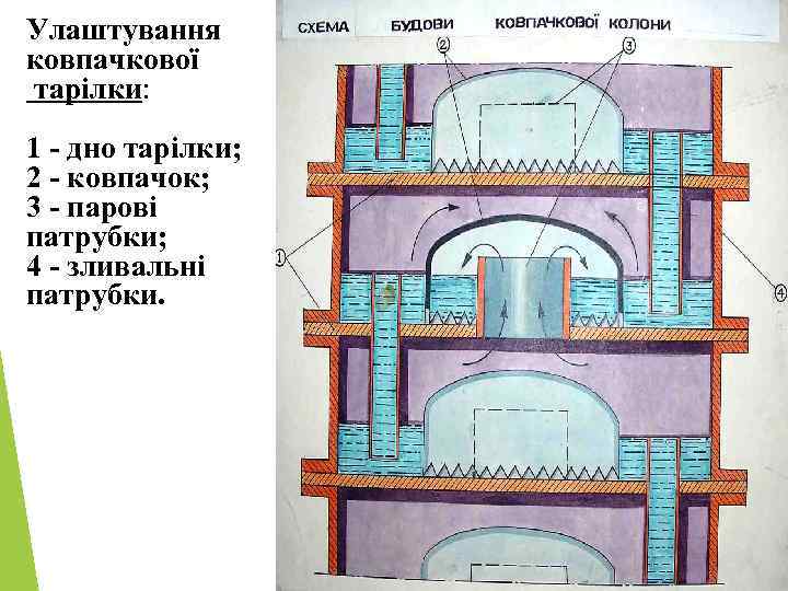 Улаштування ковпачкової тарілки: 1 - дно тарілки; 2 - ковпачок; 3 - парові патрубки;