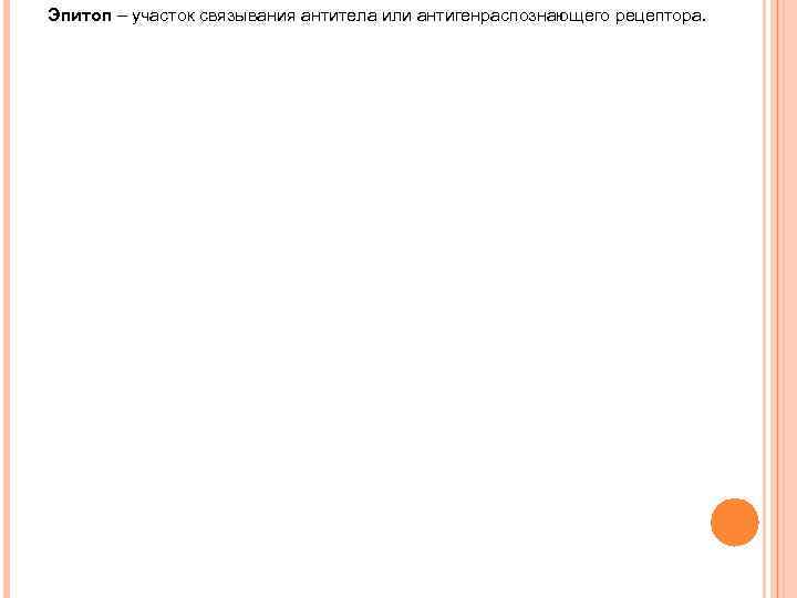 Эпитоп – участок связывания антитела или антигенраспознающего рецептора. 