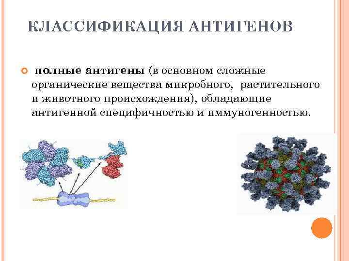 В результате пищеварения сложные органические вещества