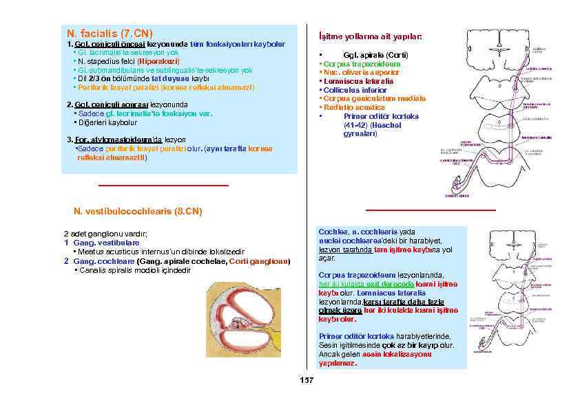 N. facialis (7. CN) İşitme yollarına ait yapılar: 1. Ggl. geniculi öncesi lezyonunda tüm