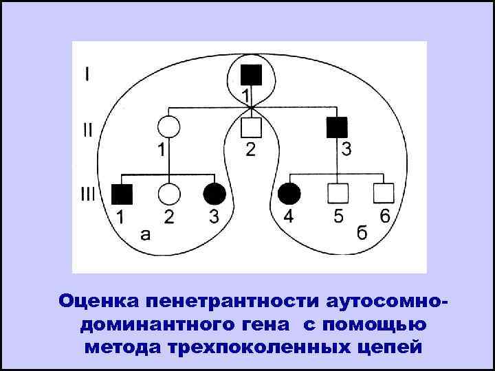 Оценка пенетрантности аутосомнодоминантного гена с помощью метода трехпоколенных цепей 