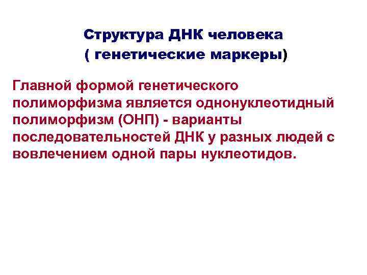 Структура ДНК человека ( генетические маркеры) Главной формой генетического полиморфизма является однонуклеотидный полиморфизм (ОНП)