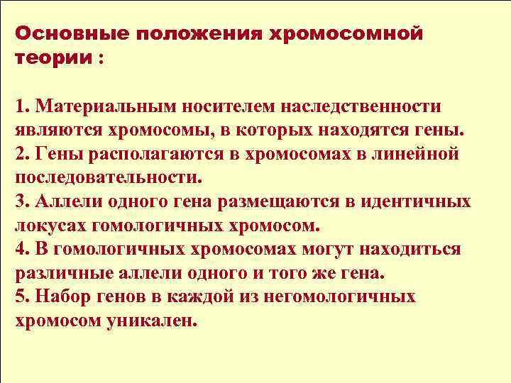 Основные положения хромосомной теории : 1. Материальным носителем наследственности являются хромосомы, в которых находятся