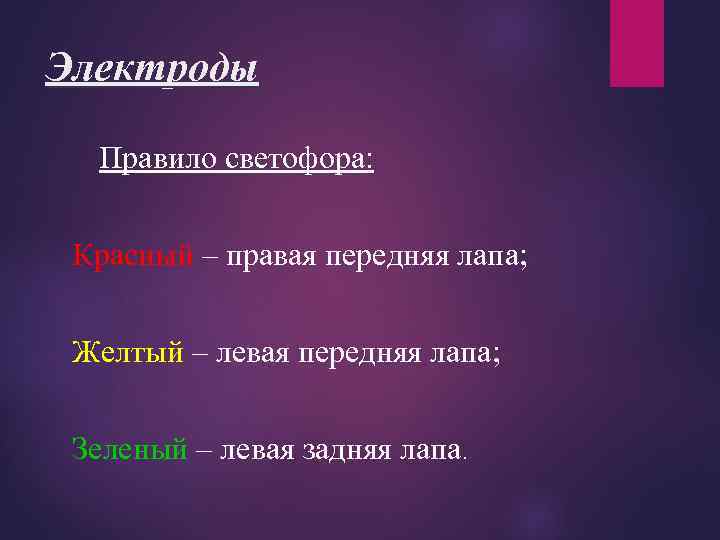 Электроды Правило светофора: Красный – правая передняя лапа; Желтый – левая передняя лапа; Зеленый