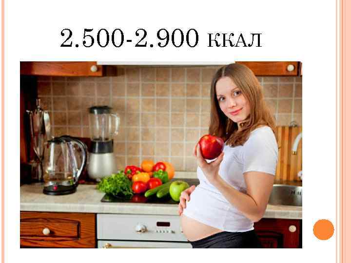 2. 500 -2. 900 ККАЛ 