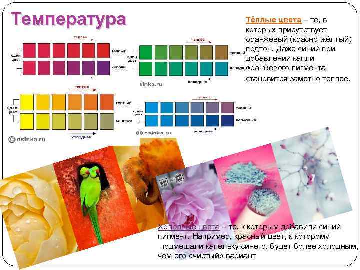 Температура Тёплые цвета – те, в которых присутствует оранжевый (красно-жёлтый) подтон. Даже синий при