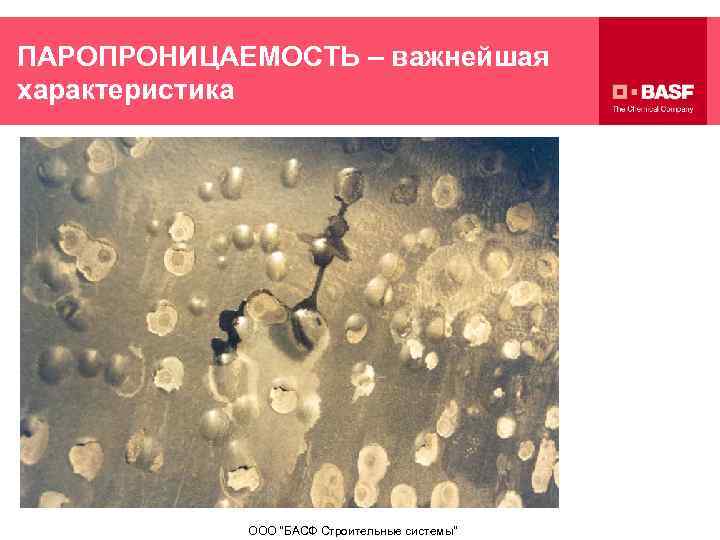 ПАРОПРОНИЦАЕМОСТЬ – важнейшая характеристика ООО 