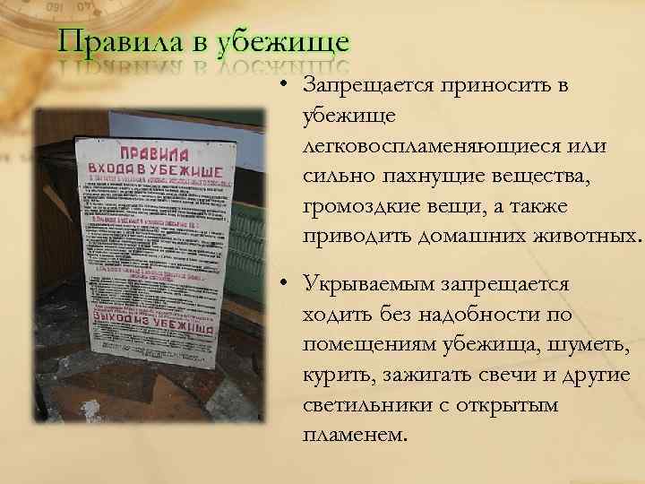  • Запрещается приносить в убежище легковоспламеняющиеся или сильно пахнущие вещества, громоздкие вещи, а