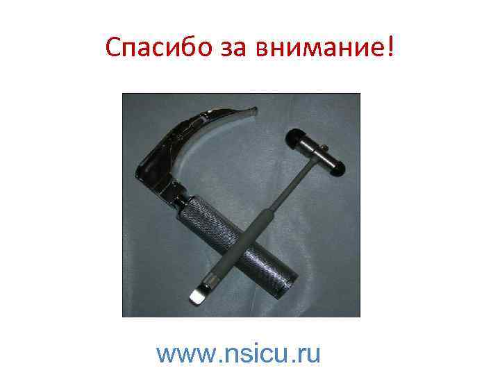 Спасибо за внимание! www. nsicu. ru 