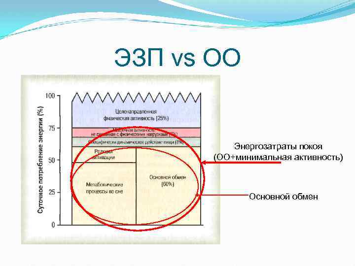 ЭЗП vs ОО Энергозатраты покоя (ОО+минимальная активность) Основной обмен 