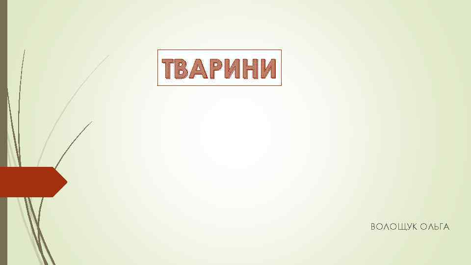 ТВАРИНИ ВОЛОЩУК ОЛЬГА 