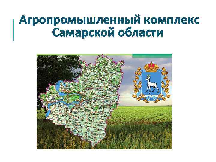 Агропромышленный комплекс Самарской области 