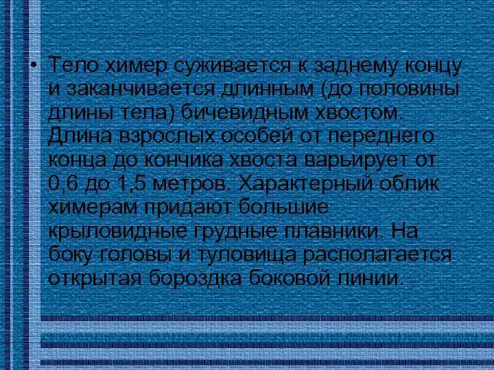  • Тело химер суживается к заднему концу и заканчивается длинным (до половины длины