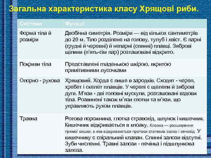 Загальна характеристика класу Хрящові риби. Системи Функції Форма тіла й розміри Двобічна симетрія. Розміри